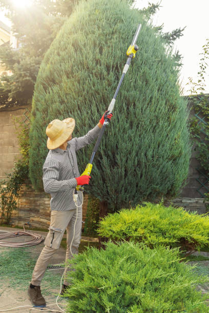 Best Commercial Tree Services  in Robinson, IL